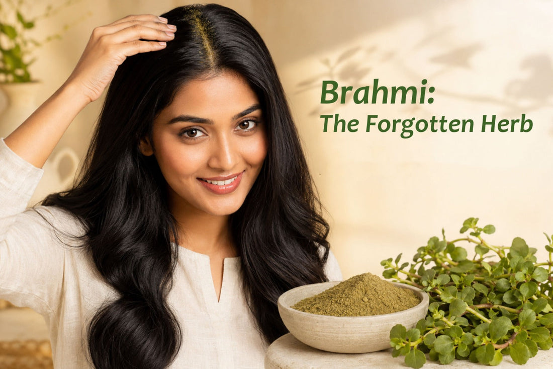 Brahmi benefits for hair and scalp health — the calming Ayurvedic herb guide