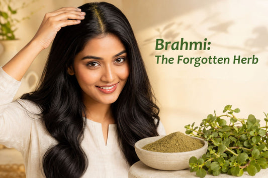 Brahmi benefits for hair and scalp health — the calming Ayurvedic herb guide