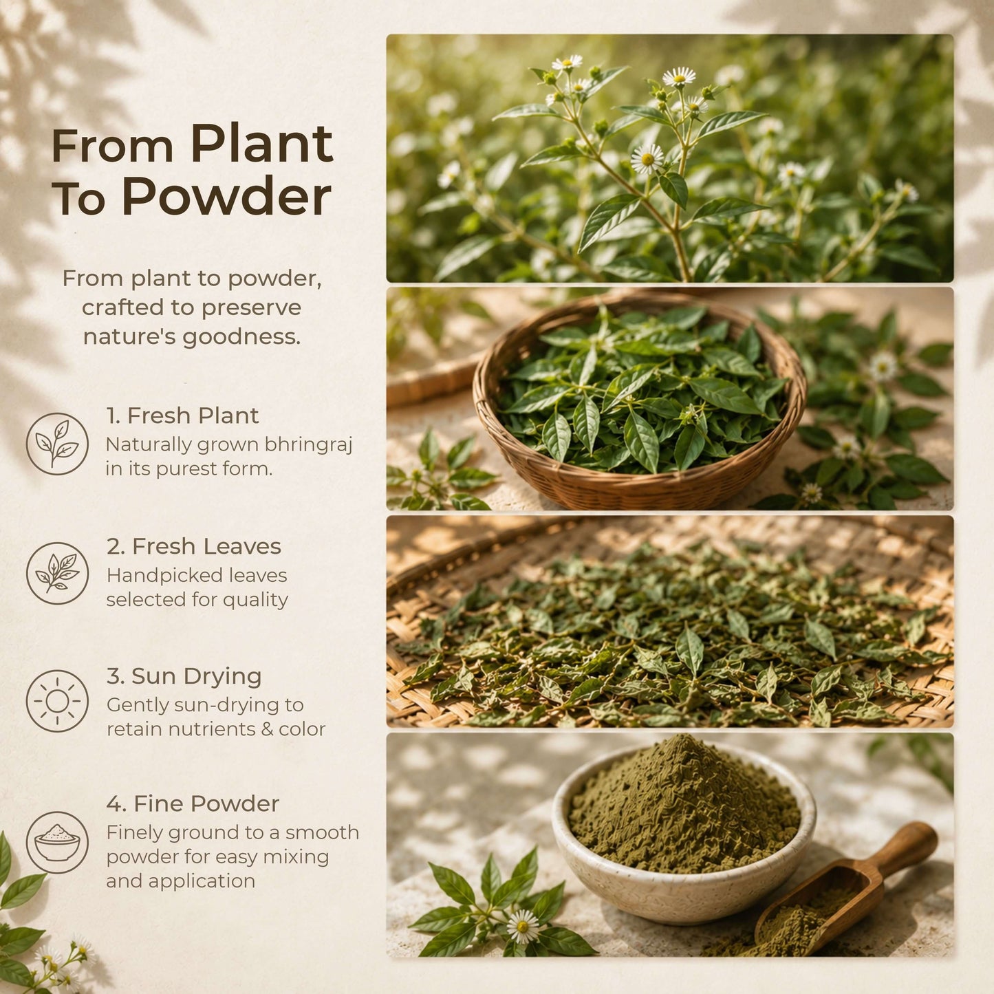100% pure bhringraj powder — no chemicals, single ingredient hair care