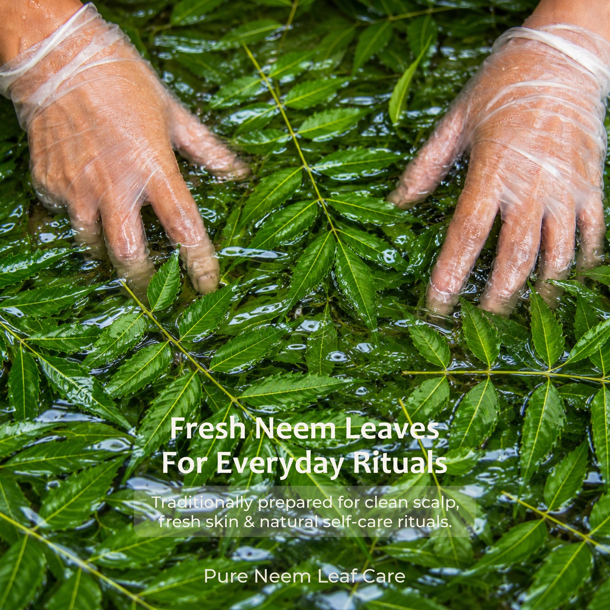 Neem powder for pimples and acne-prone skin — natural purifying face pack